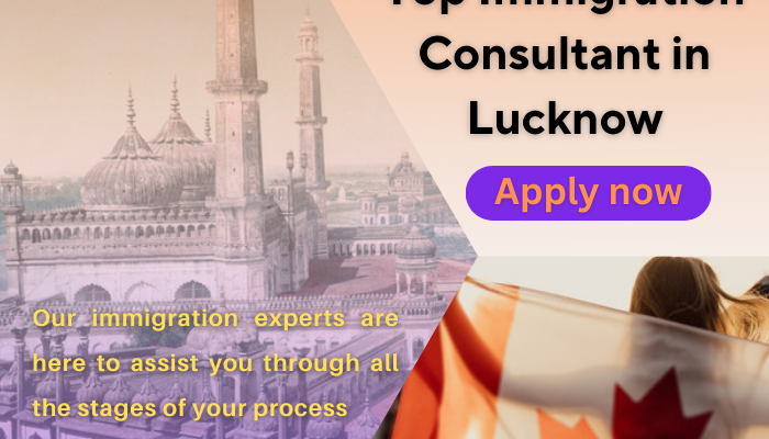 Top Immigration and PR Visa Consultant in Lucknow