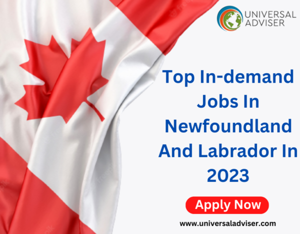 Top In Demand Jobs In Newfoundland And Labrador In 2024   Top In Demand Jobs In Newfoundland And Labrador 600x467 